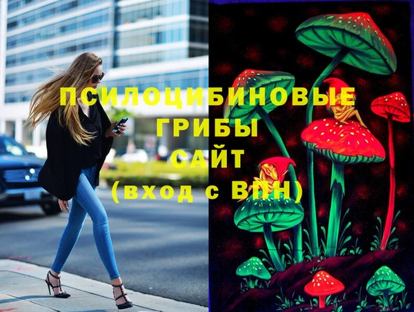 дмт Армянск