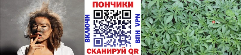 Бошки марихуана сатива  Байкальск 